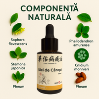 Kit 2 unguent japonez - DICTAMNI